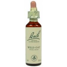 Bach Wild Oat / Bromus ramosus (Ruwe dravik)
